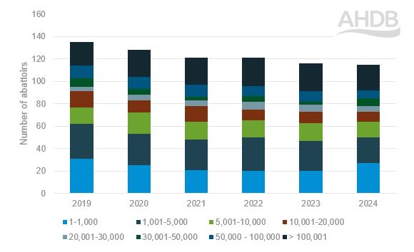 Trends in the number of English cattle abattoirs by size 2019–2024